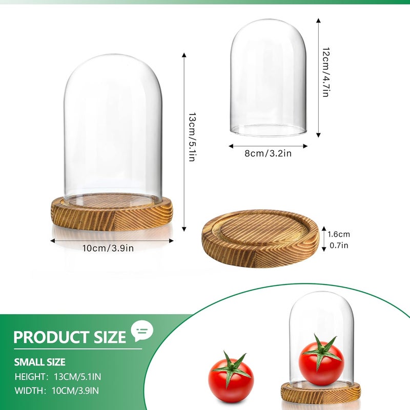 ZEERSHEE 4.1" × 3.2" قبة زجاجية صغيرة مع قاعدة خشبية صلبة فارغة للنباتات والتذكارات والمقتنيات - Image 3